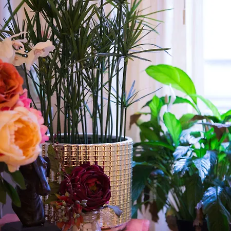 Maxim Axial Florencia